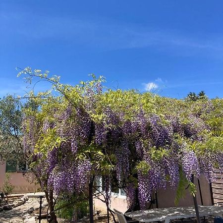 Le Clos Des Olivettes Sainte-Croix-de-Quintillargues Exteriér fotografie