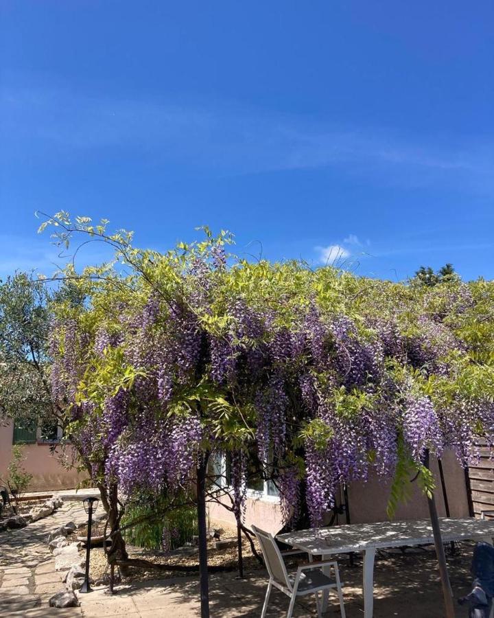 Le Clos Des Olivettes Sainte-Croix-de-Quintillargues Exteriér fotografie