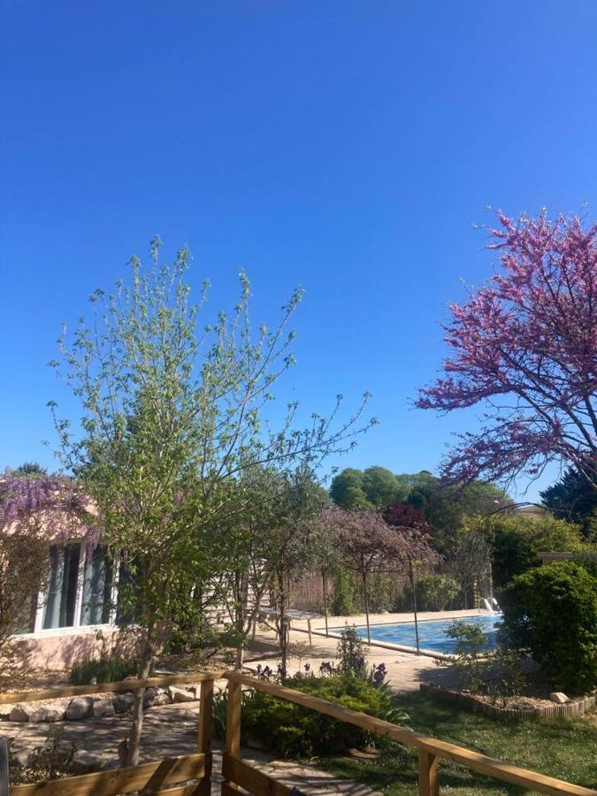 Le Clos Des Olivettes Sainte-Croix-de-Quintillargues Exteriér fotografie